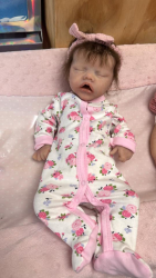 thumb_161_Stella32025.jpg